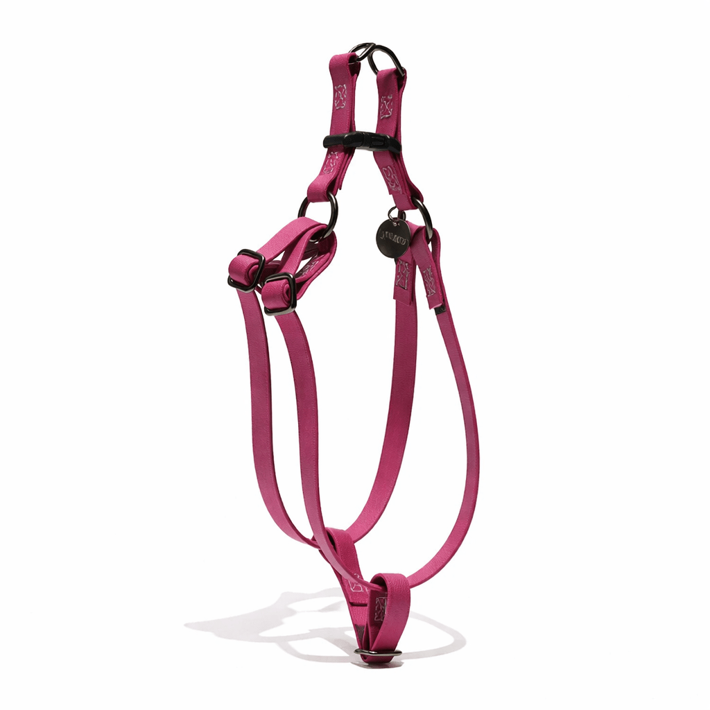Water Resistant Cat & Dog Harness – Berry with Matte Black Hardware | Durable, Adjustable & All-Weather