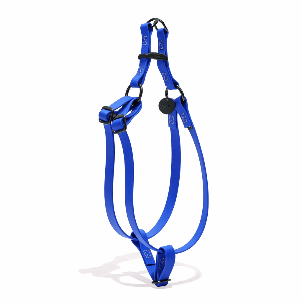 Water Resistant Cat & Dog Harness – Bright Blue with Matte Black Hardware | Durable, Adjustable & All-Weather