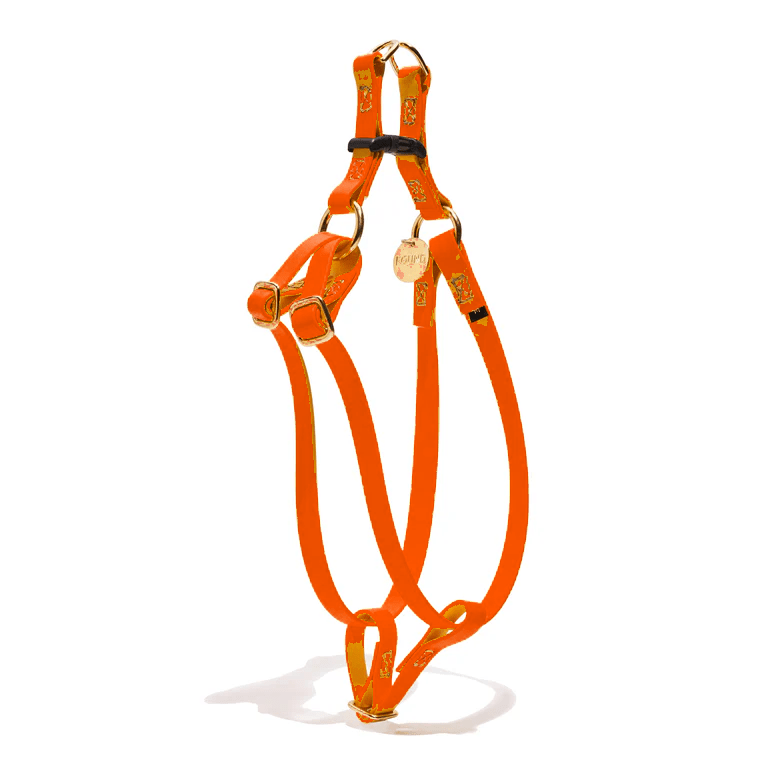 Water Resistant Cat & Dog Harness – Fire Orange | Durable, Adjustable & All-Weather