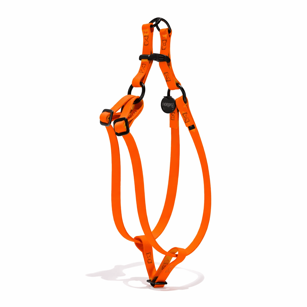 Water Resistant Cat & Dog Harness – Fire Orange with Matte Black Hardware | Durable, Adjustable & All-Weather
