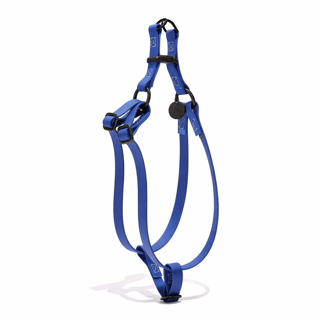 Water Resistant Cat & Dog Harness – Navy with Matte Black Hardware | Durable, Adjustable & All-Weather