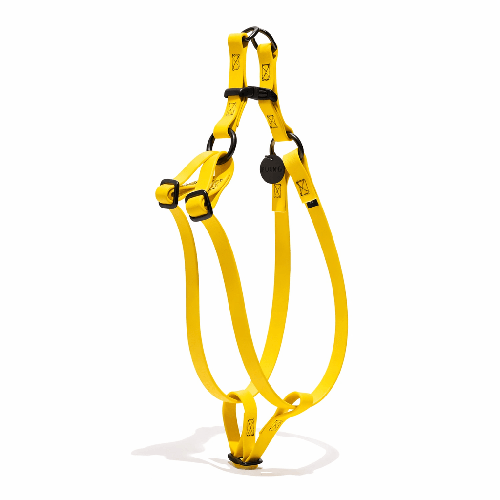 Water Resistant Cat & Dog Harness – Yellow with Matte Black Hardware | Durable, Adjustable & All-Weather