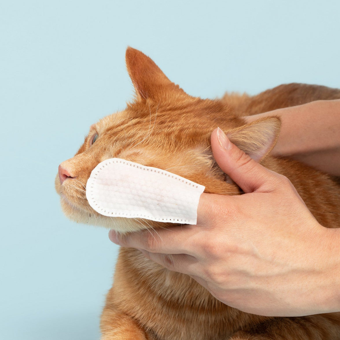 Pet Eye Cleansing Finger Wipes for Pets (50 Count)