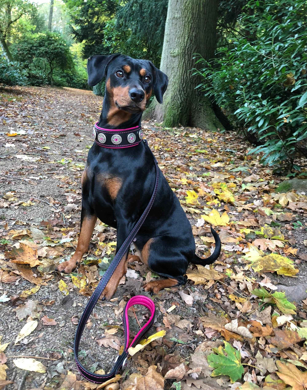 Bestia Bijou Black & Pink Leather Dog Collar