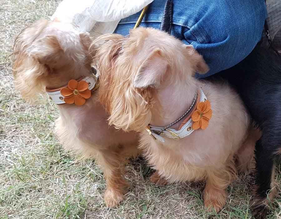 Bestia Flower Handmade Leather Puppy Collar