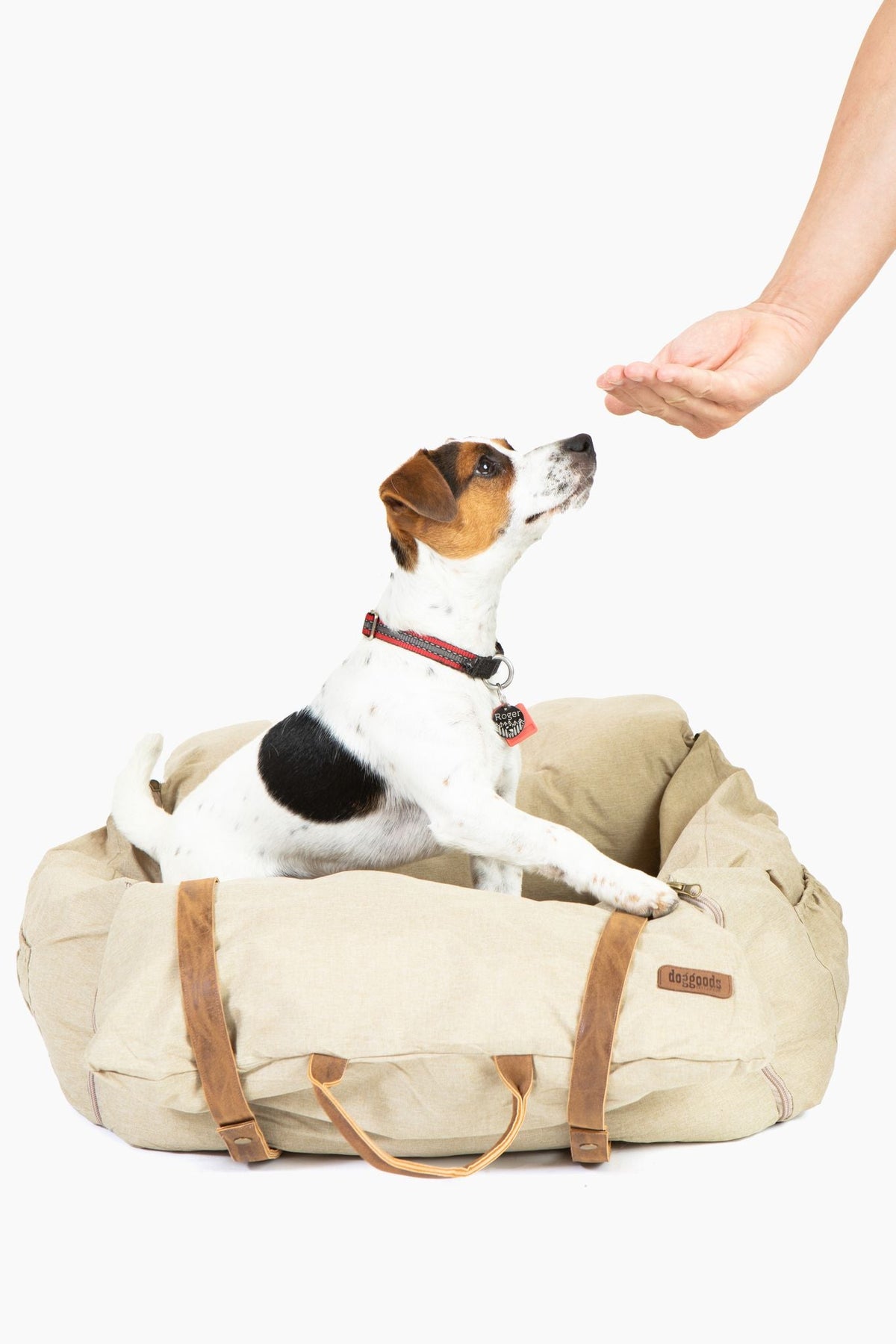 Car Bed for Dogs by DogGoods