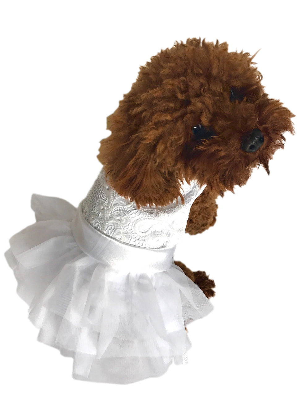 Fufu Tutu, White Wedding