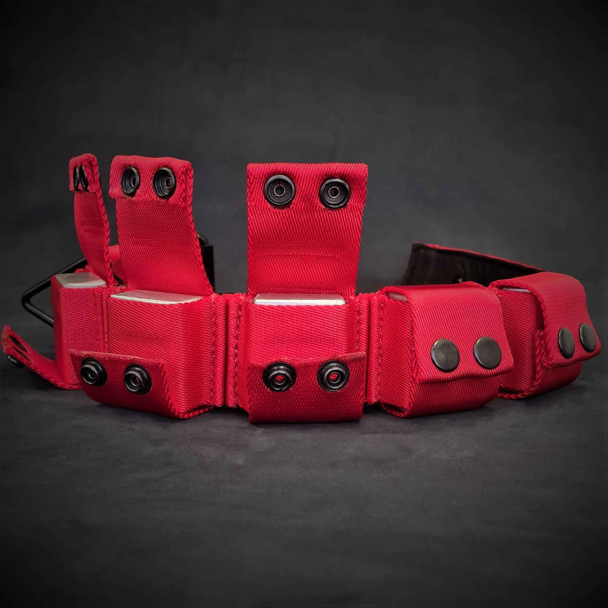 Bestia Weighted Training Red 5 lb Removable Weights Large Breed Dog Collar