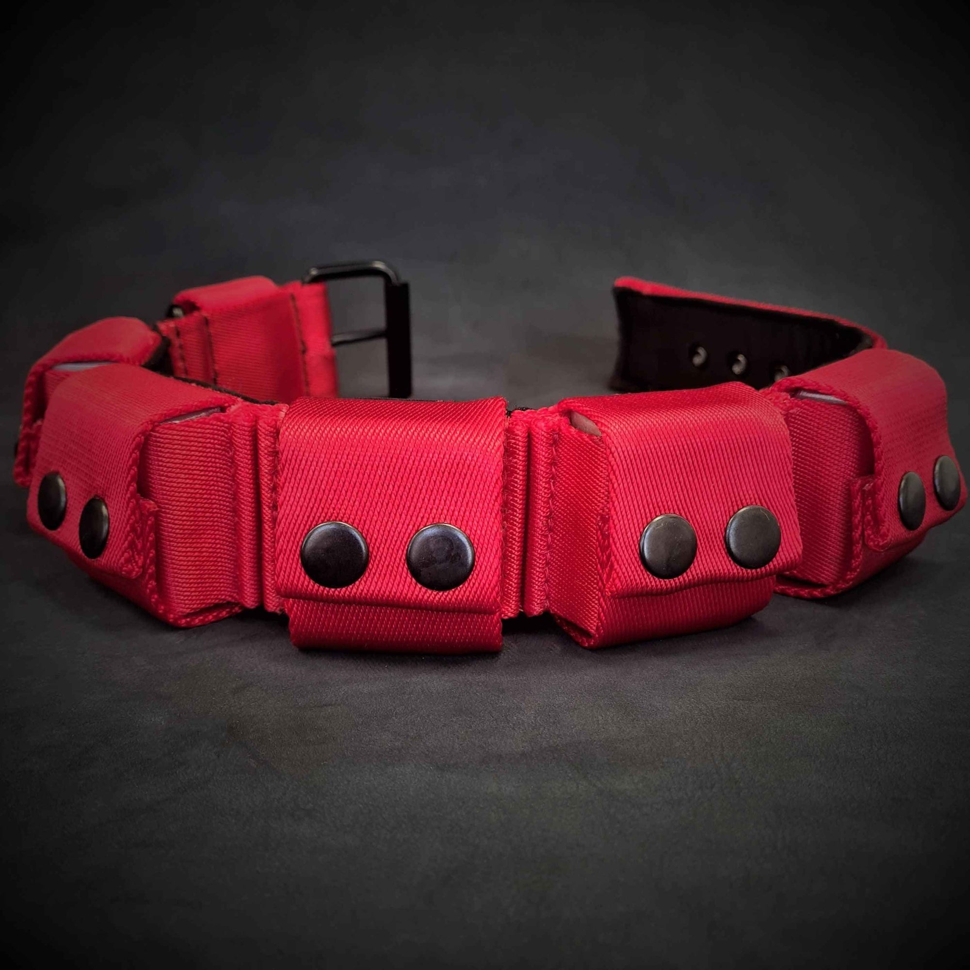 Bestia Weighted Training Red 5 lb Removable Weights Large Breed Dog Collar