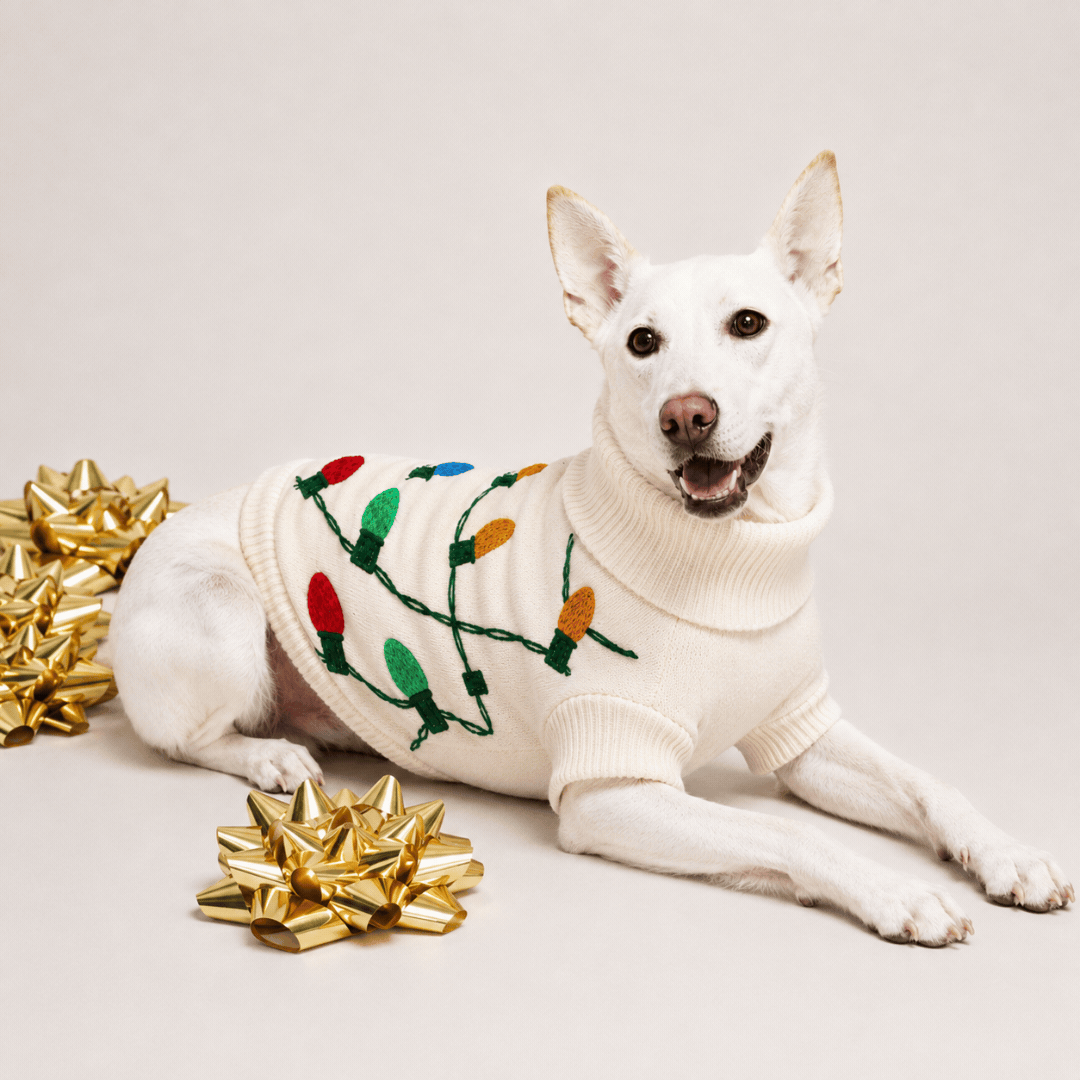 Found My Animal Vintage Lights LED Dog Sweater