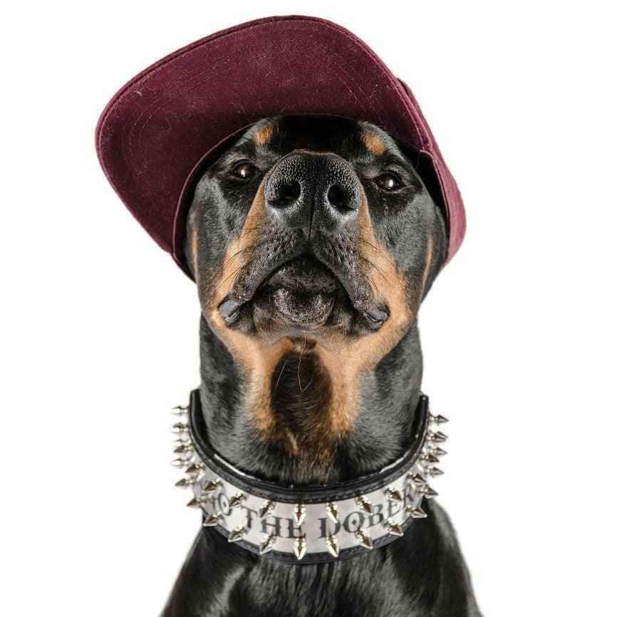 Bestia Metal Personalized Leather Dog Collar