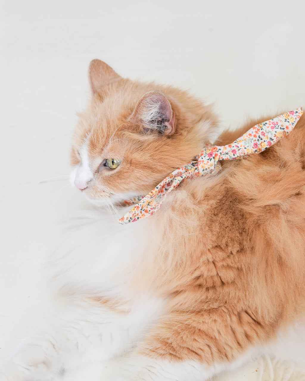 Adventure Necktie