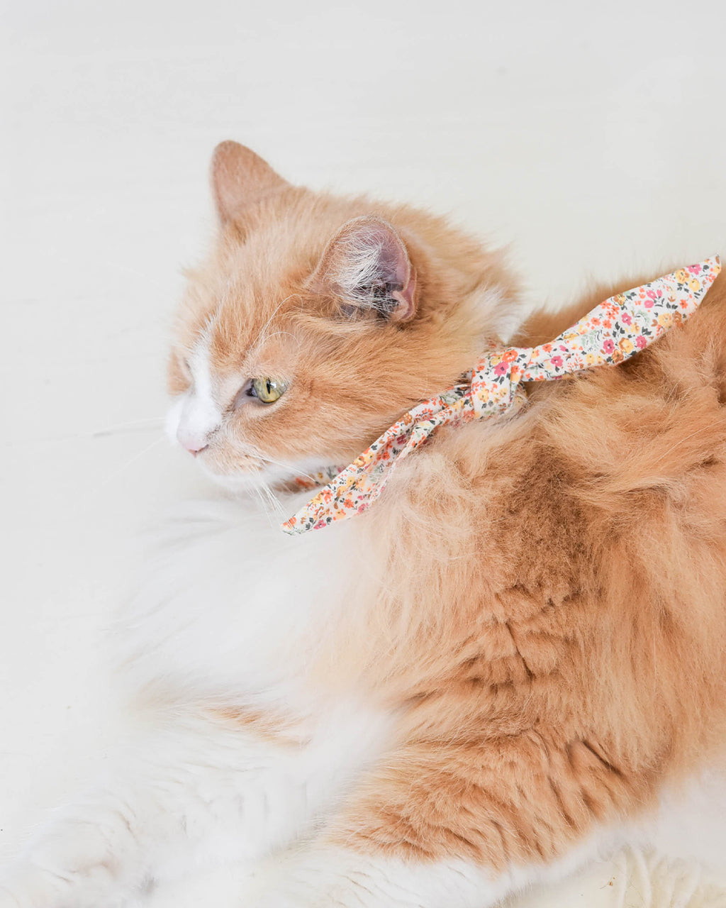 Adventure Necktie