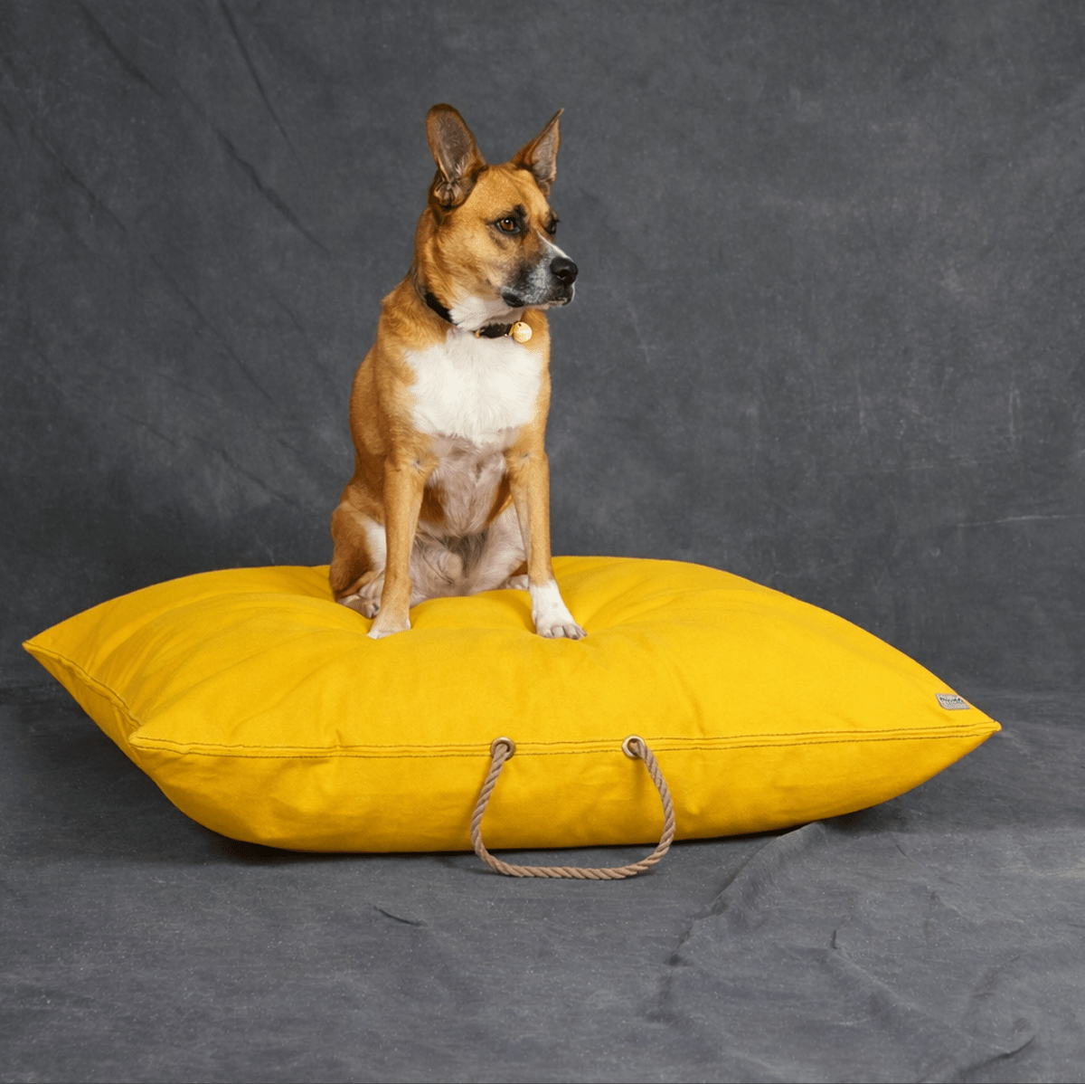 Yellow Waxed Cotton Canvas Dog Bed