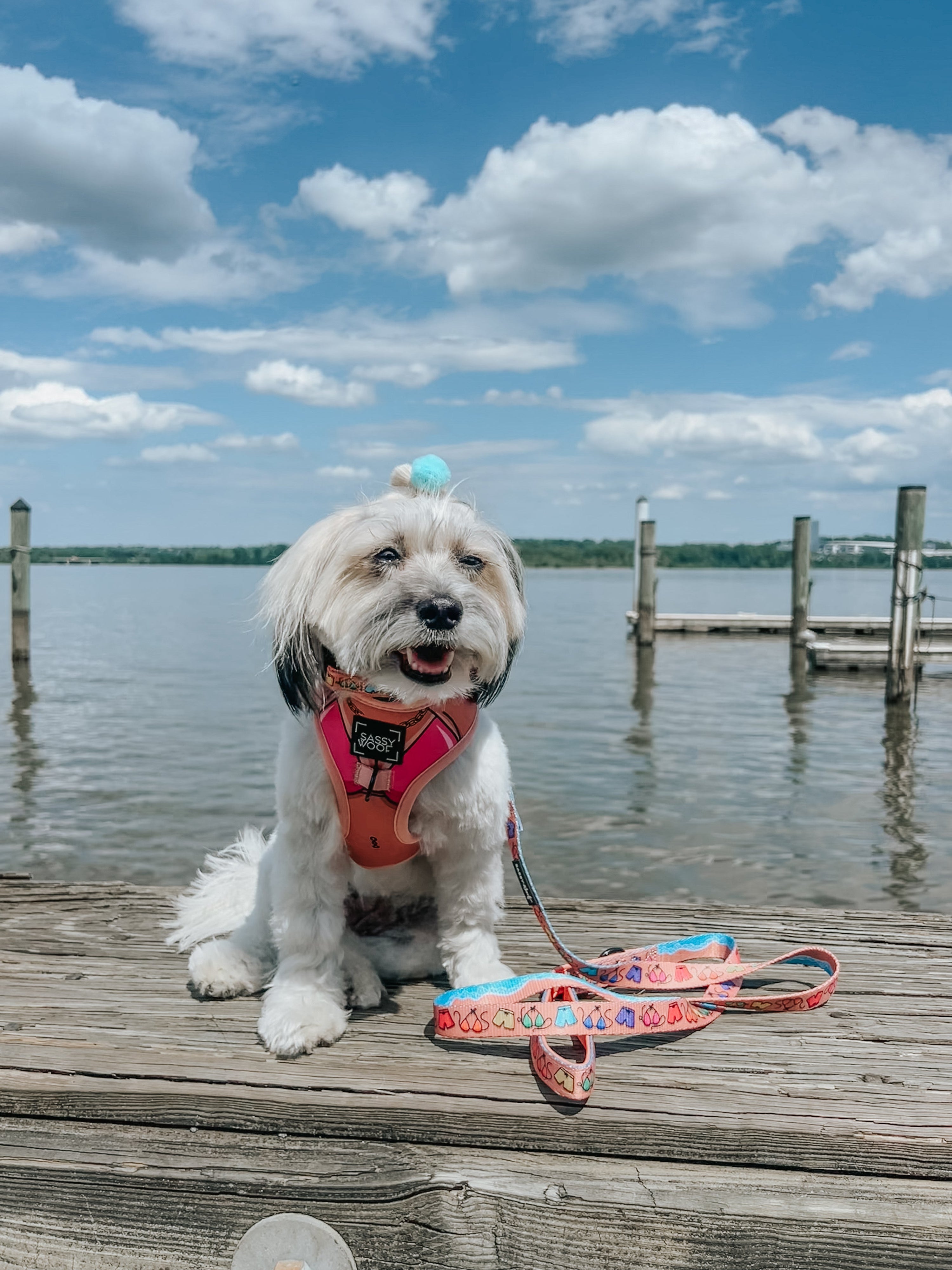 Dog Leash - Beach Bod