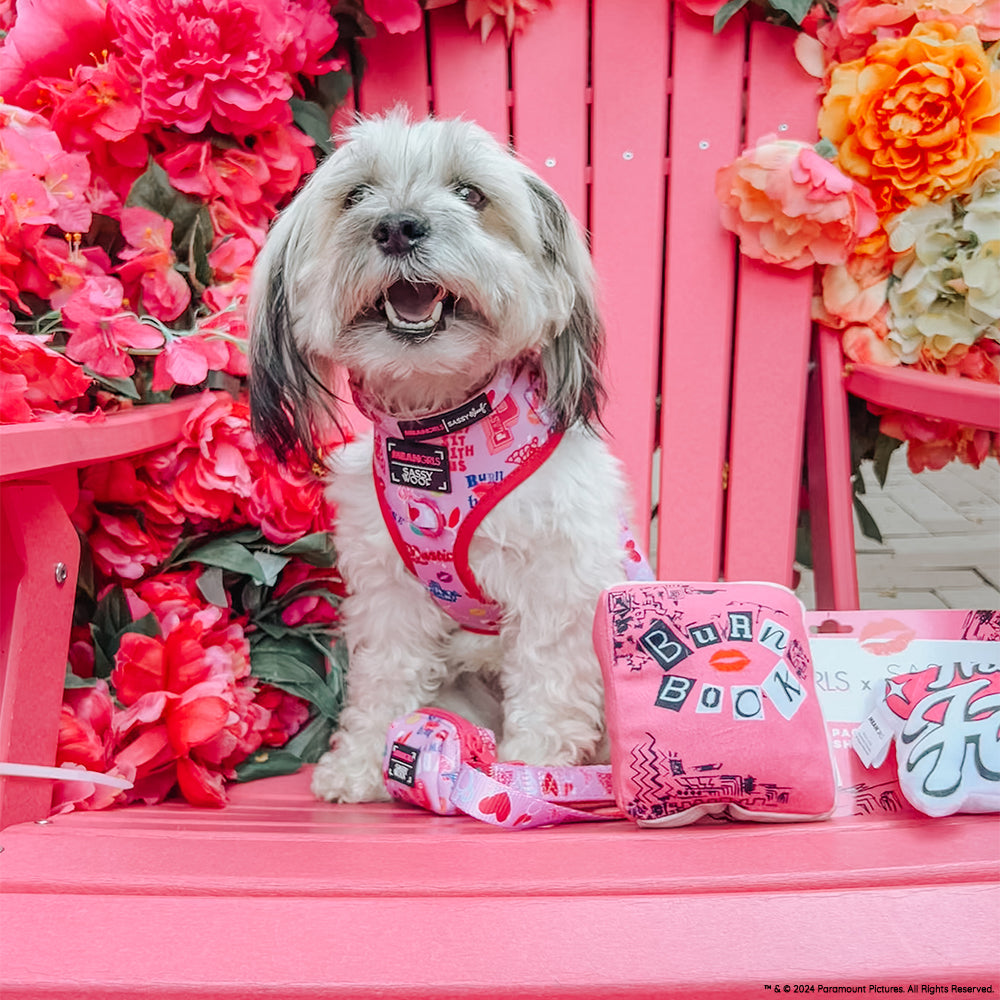 Dog Adjustable Harness - Mean Girls™