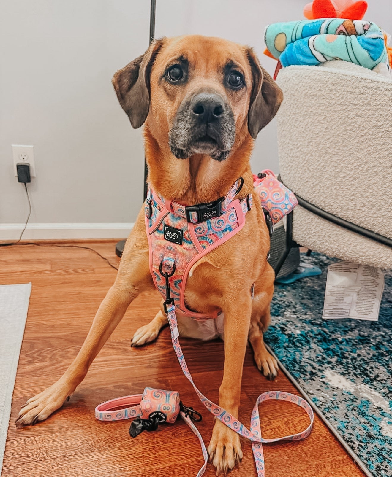 Dog Step-in Harness - Good Vibes