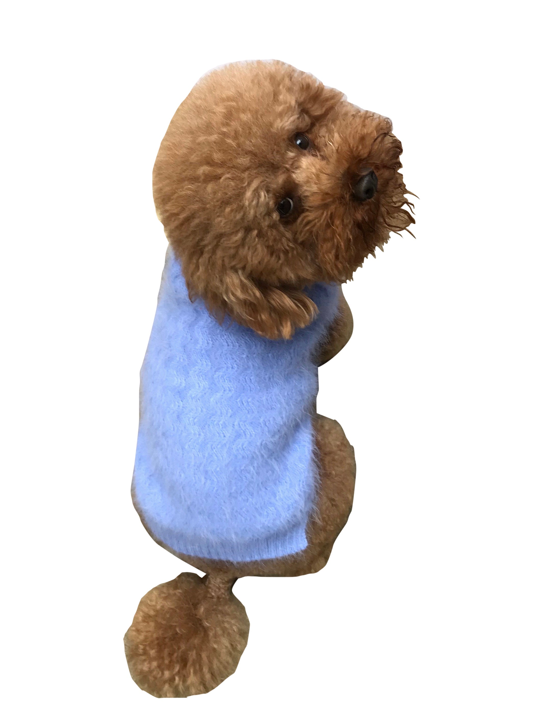 Ziggy Zag Luxe Angora Turtleneck